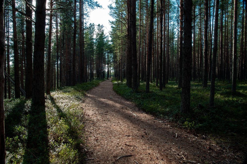 Photograph by Роман Дудкин