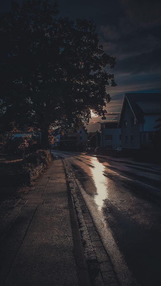 Photograph by Viktor Litoschik