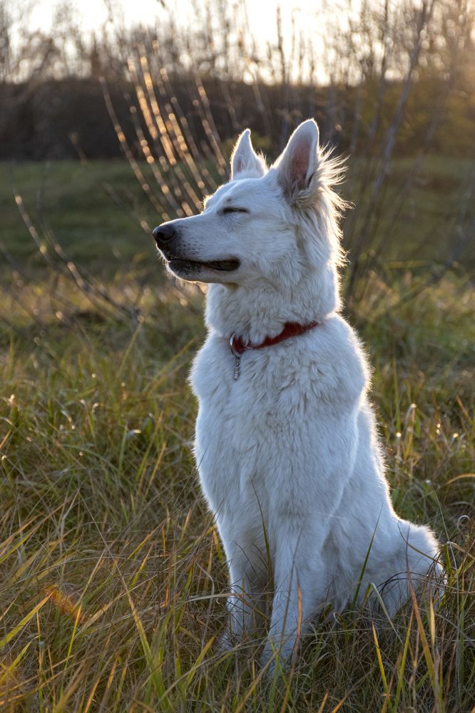 Photograph by Anton Leonchikov