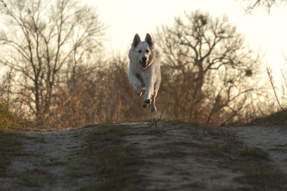 Photograph by Anton Leonchikov