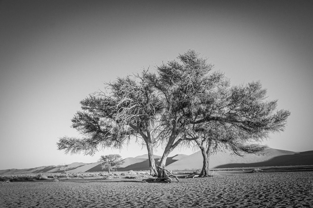 Photograph by Таймураз Гумеров