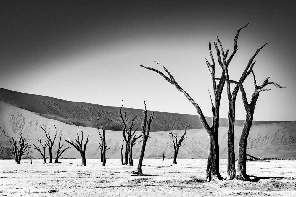 Photograph by Таймураз Гумеров