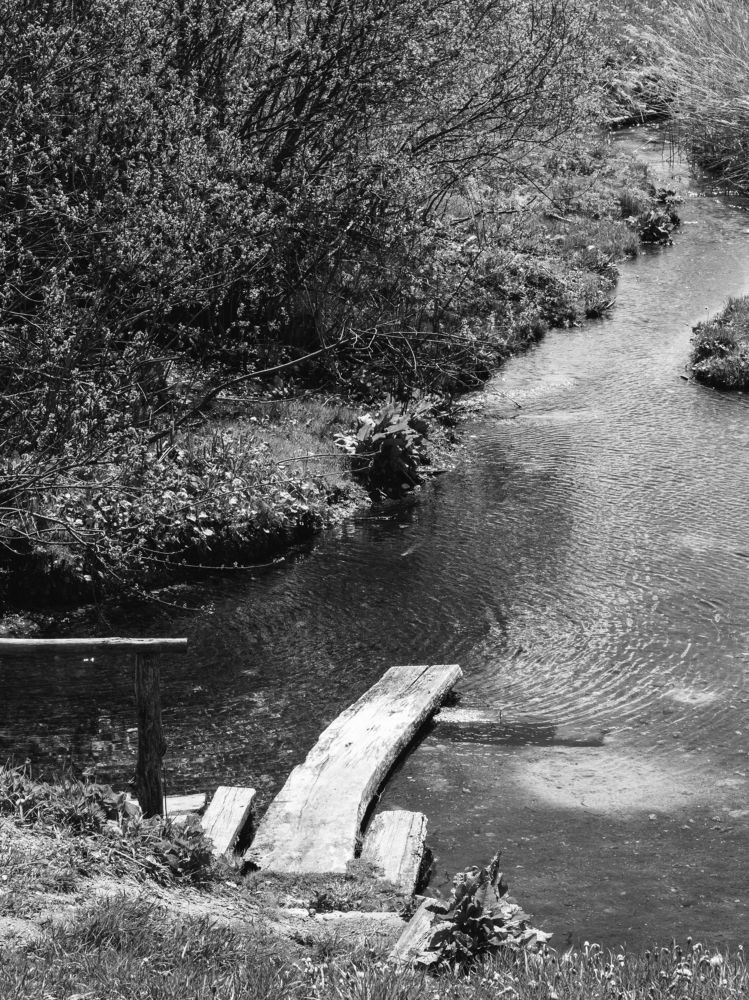 Photograph by Ольга Репина