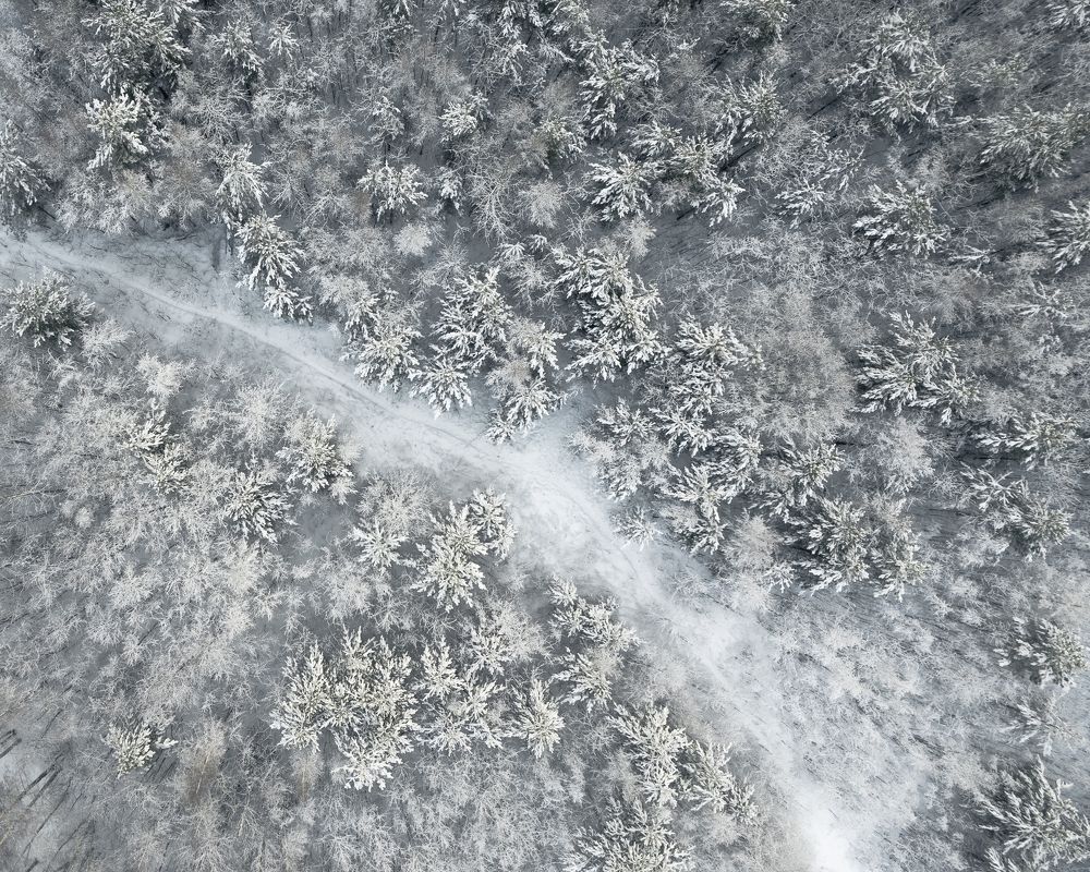 Photograph by Brouer Alexey