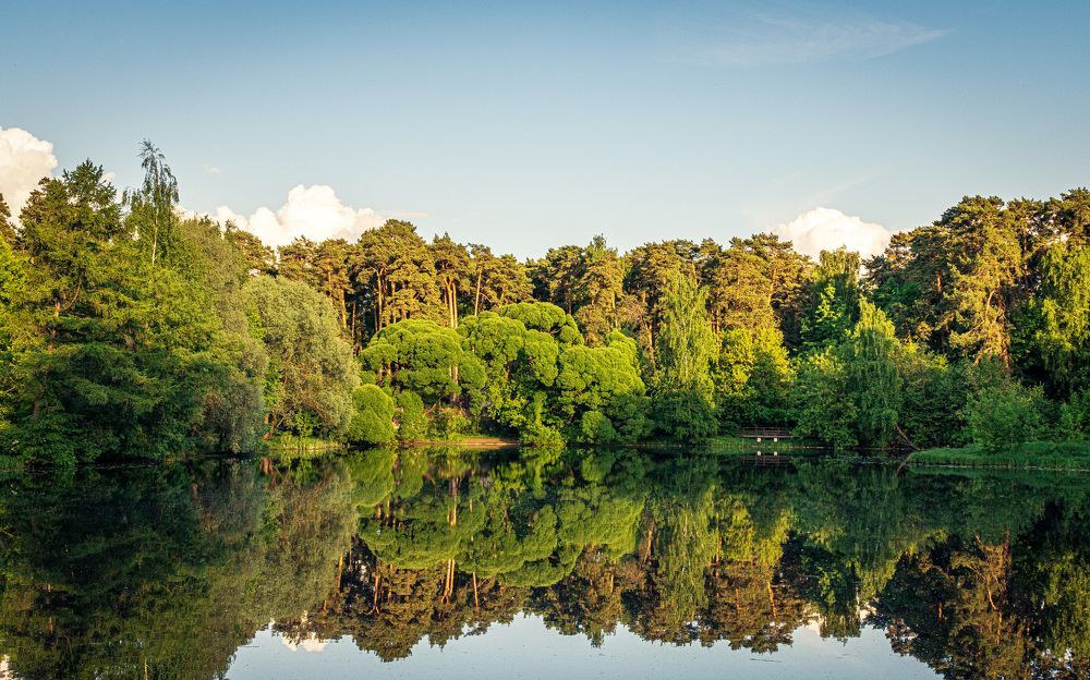 Photograph by Герман Матвеев