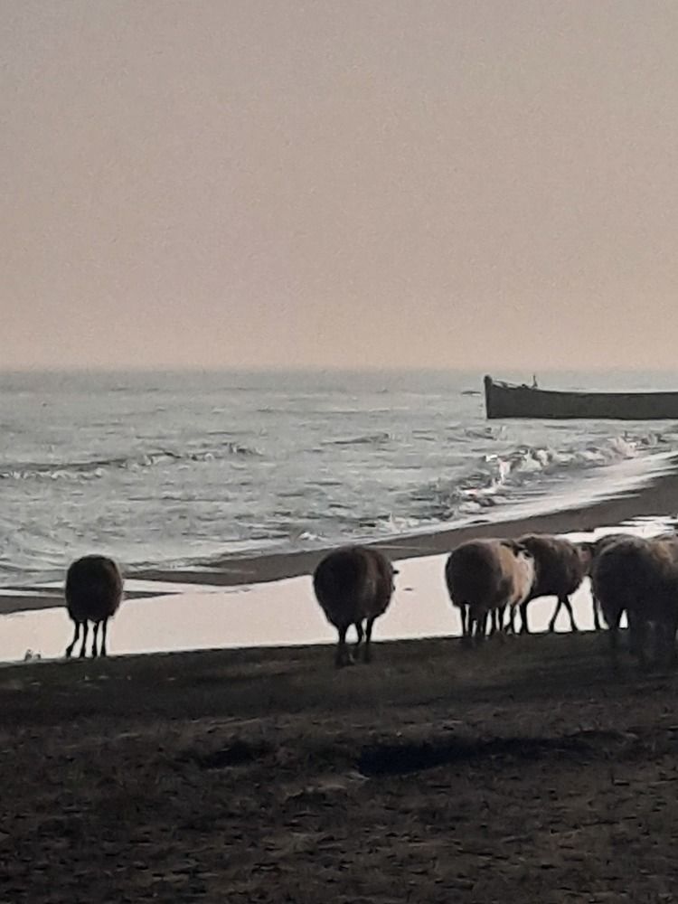 Photograph by Amin Karimi