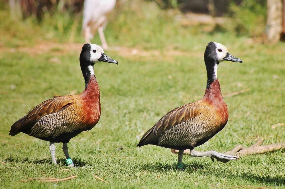 Photograph by Farah Khan