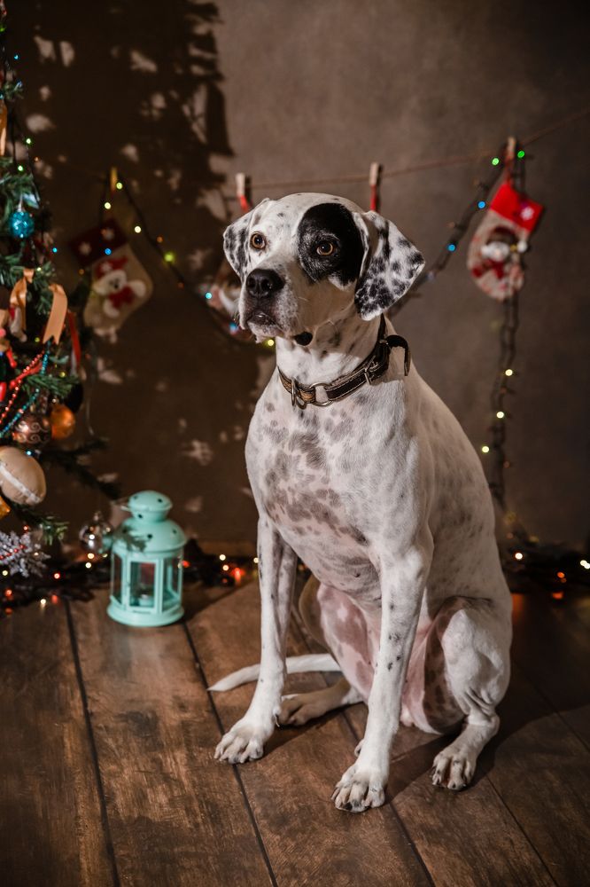 Photograph by Ирина Эрон