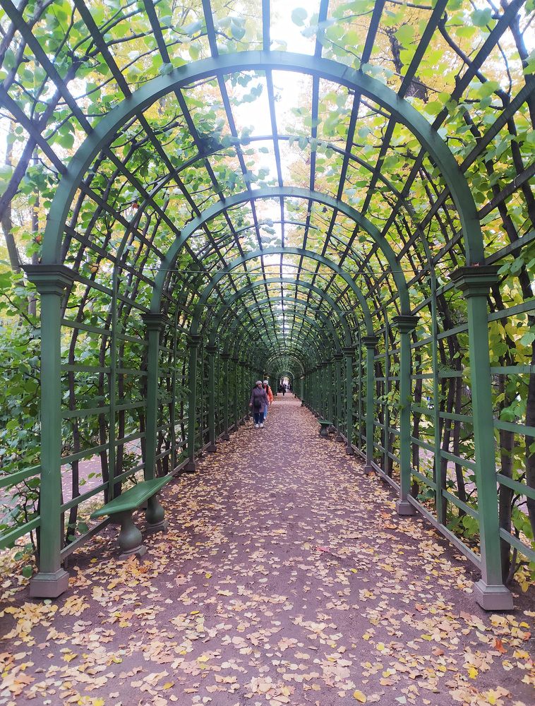 Photograph by Полина