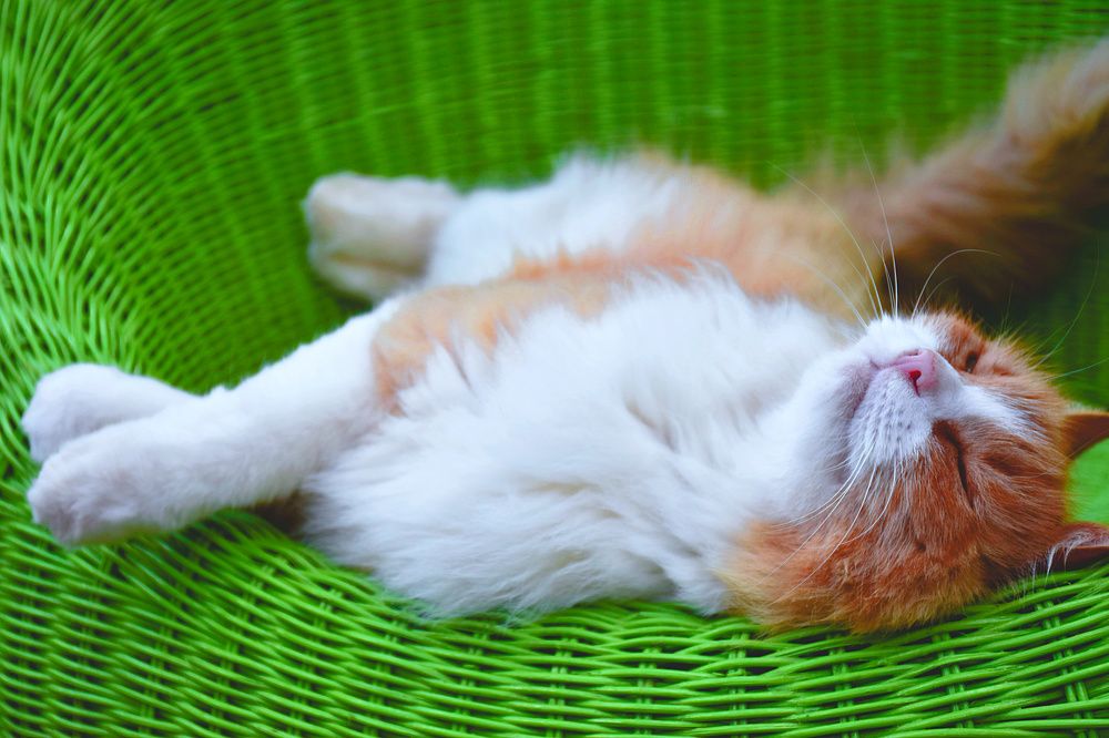 Photograph by Людмила Леонтьева