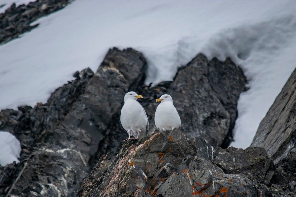 Photograph by Алексей Логинов