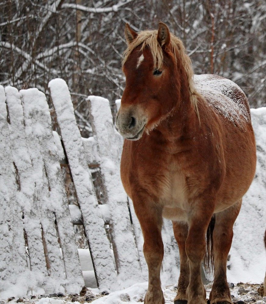 Photograph by Галина Мазур
