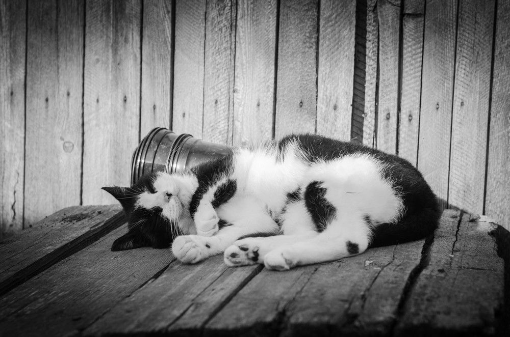 Photograph by Редько Александр