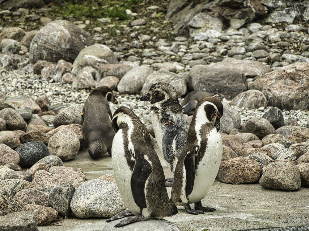 Photograph by Eren Kufi