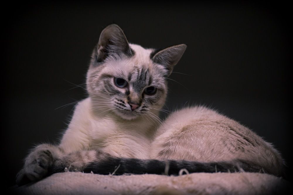 Photograph by Vasily Prokhorov