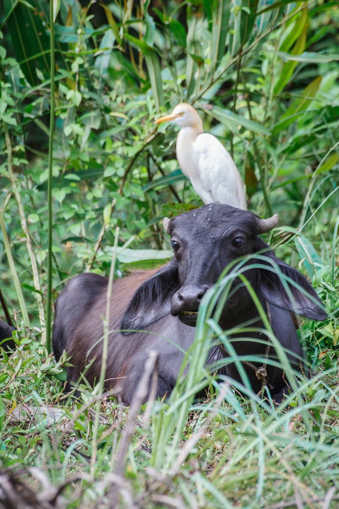 Photograph by Vasily Prokhorov
