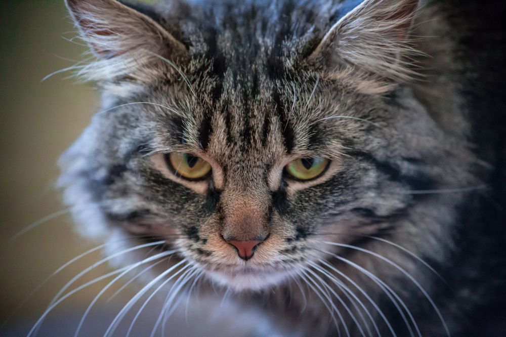 Photograph by Vasily Prokhorov