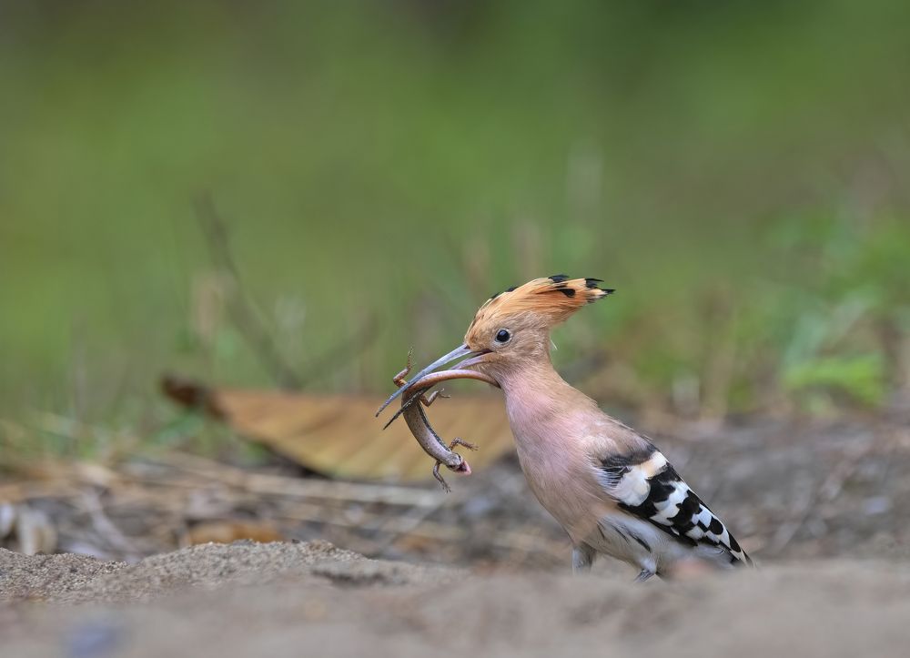 Photograph by Sandip Patil