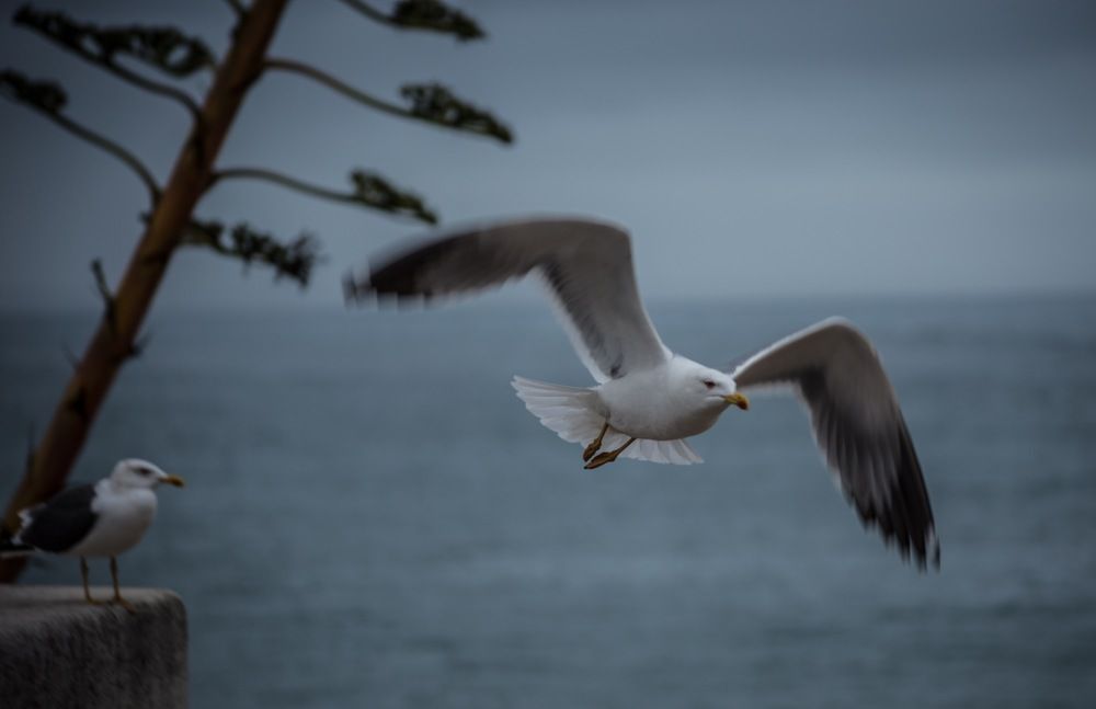 Photograph by Vasily Prokhorov