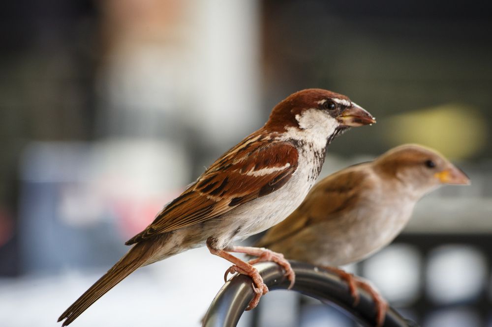 Photograph by Vasily Prokhorov