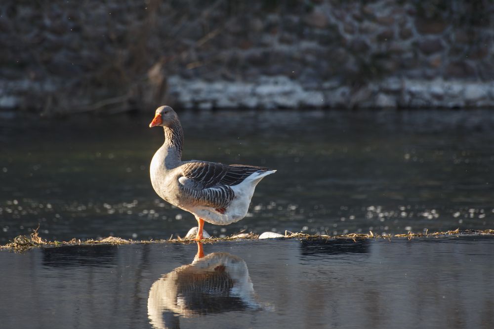 Photograph by Vasily Prokhorov
