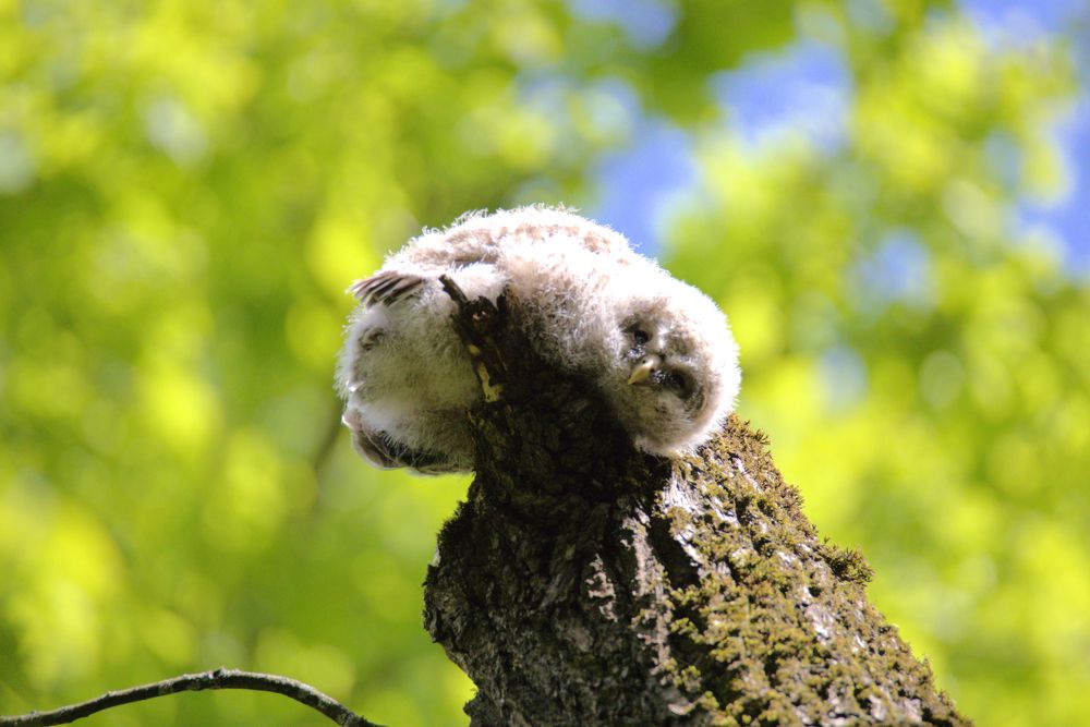 Photograph by Виталий Разуваев