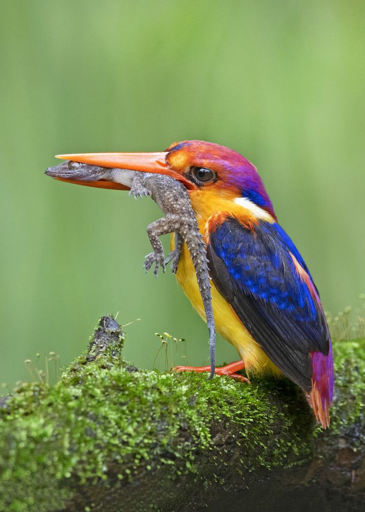 Photograph by Sandip Patil