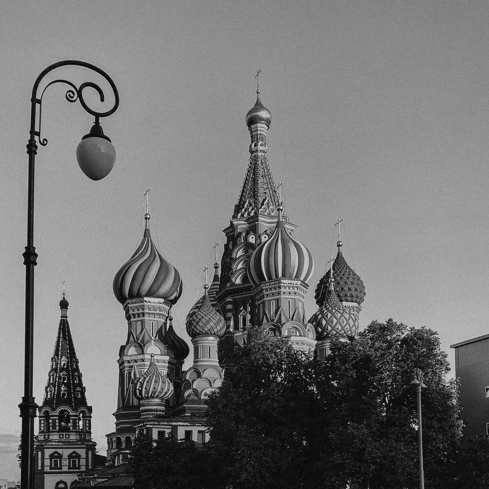 Фотография автора Александра Алиева