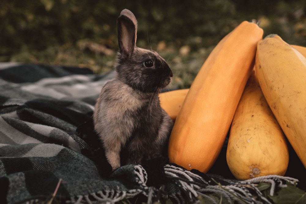 Photograph by Анастасия Сидоренко