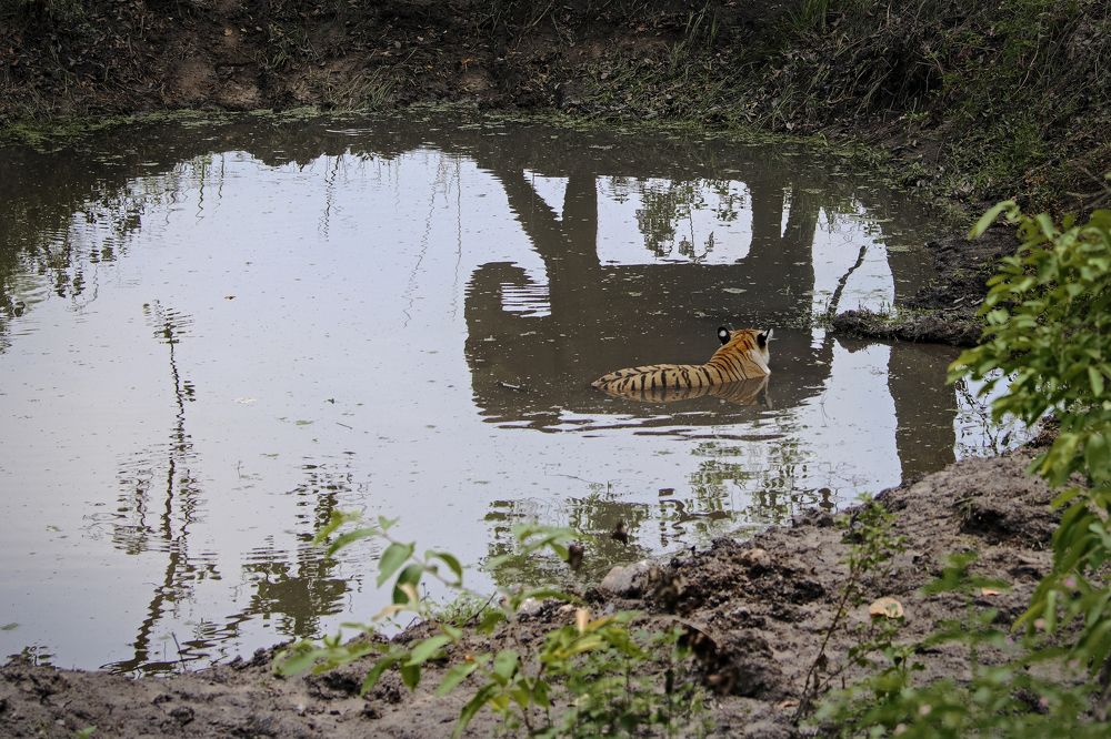 Photograph by Sandip Patil