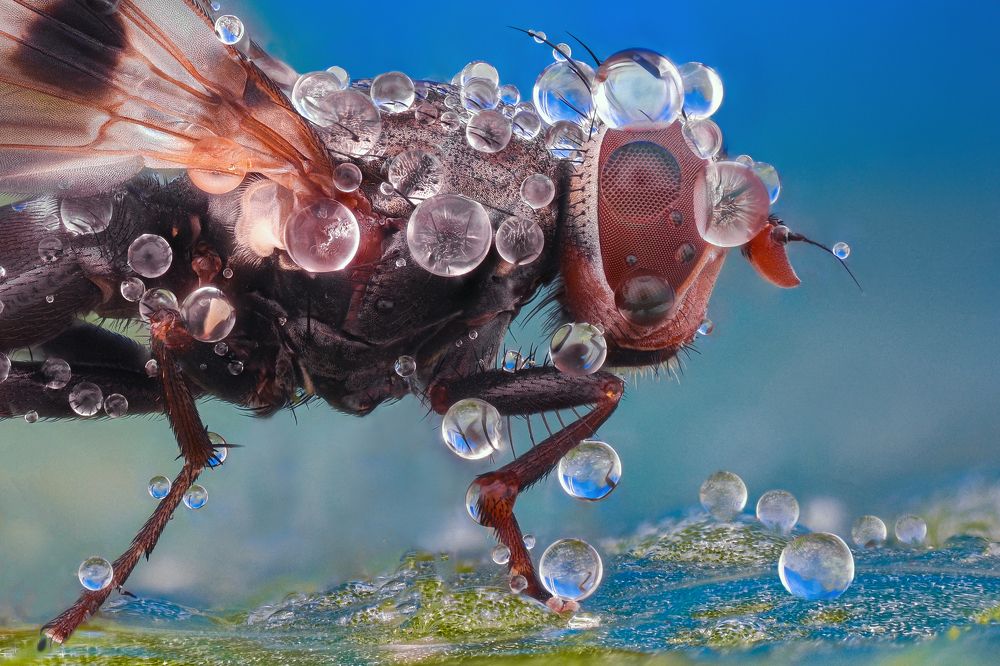 Photograph by Tsvetan Ganev