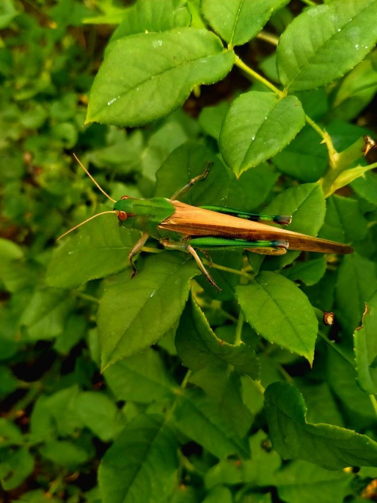 Природой живет человек