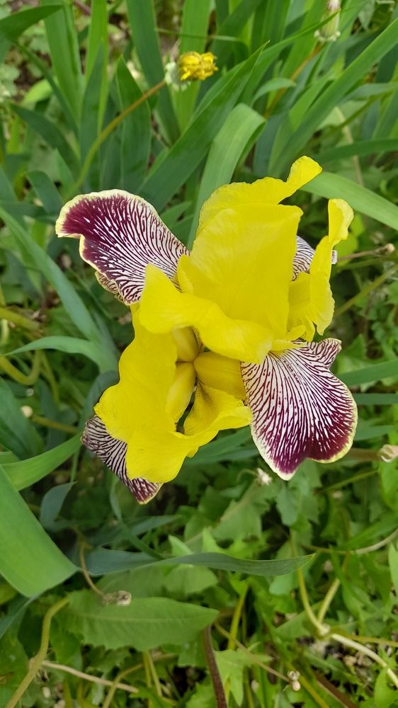 Photograph by Елена Чурынина