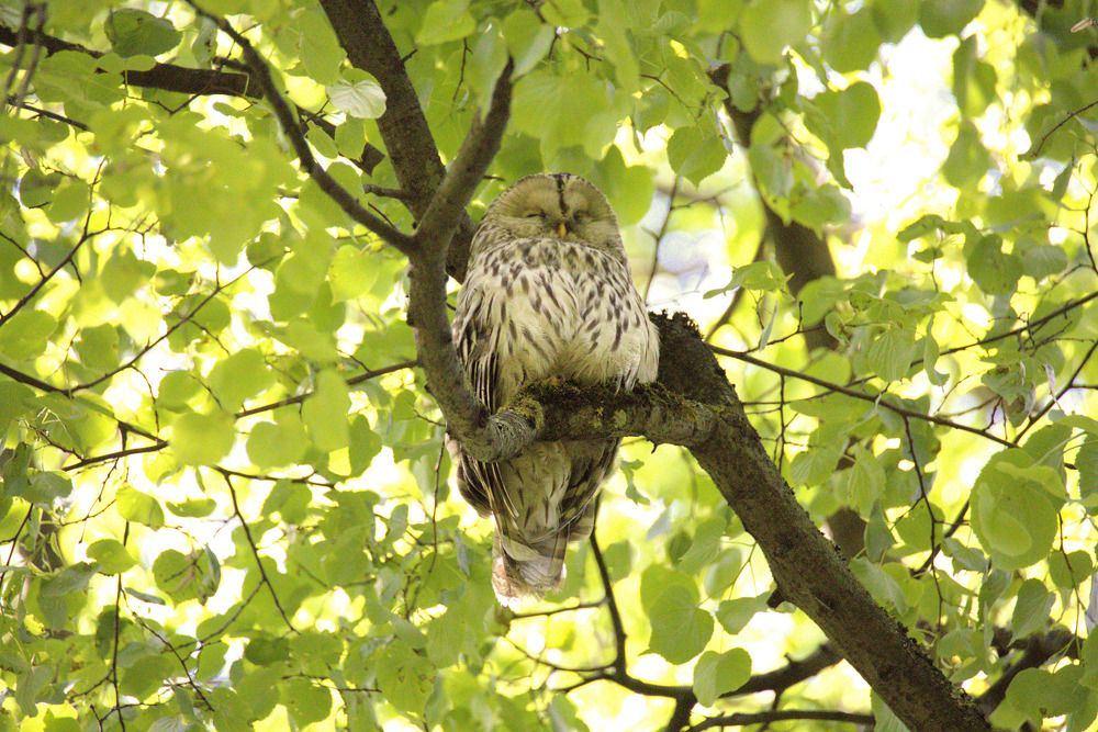 Photograph by Виталий Разуваев