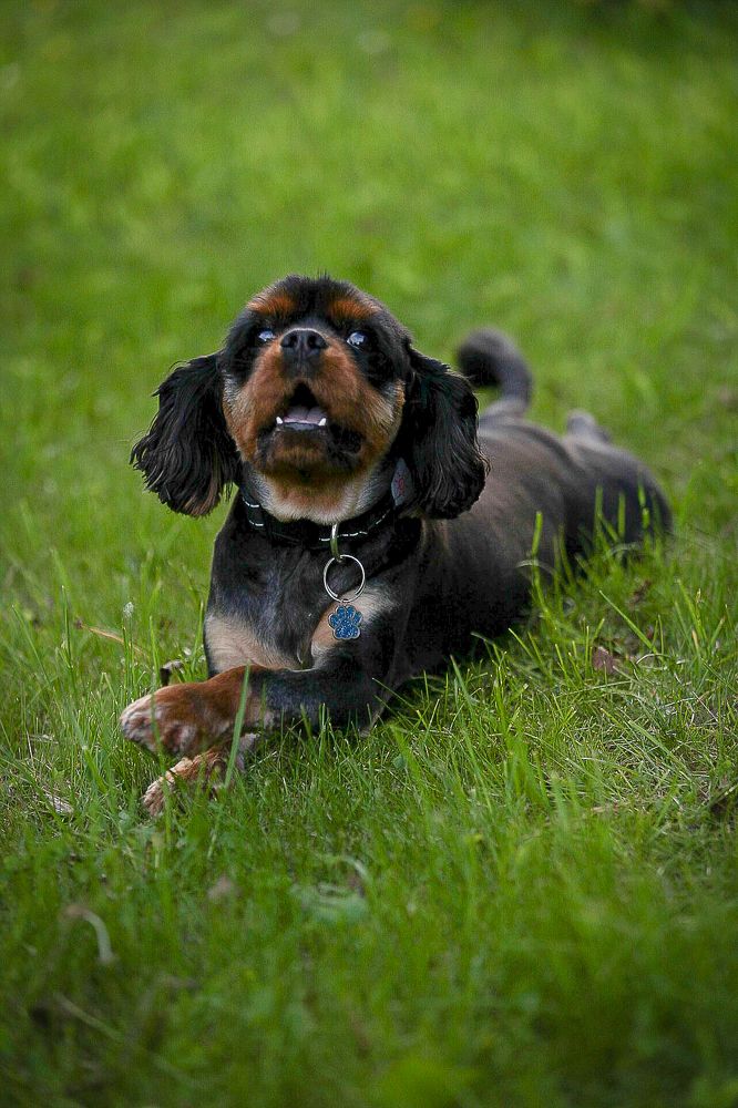 Photograph by Анатолий Буянов