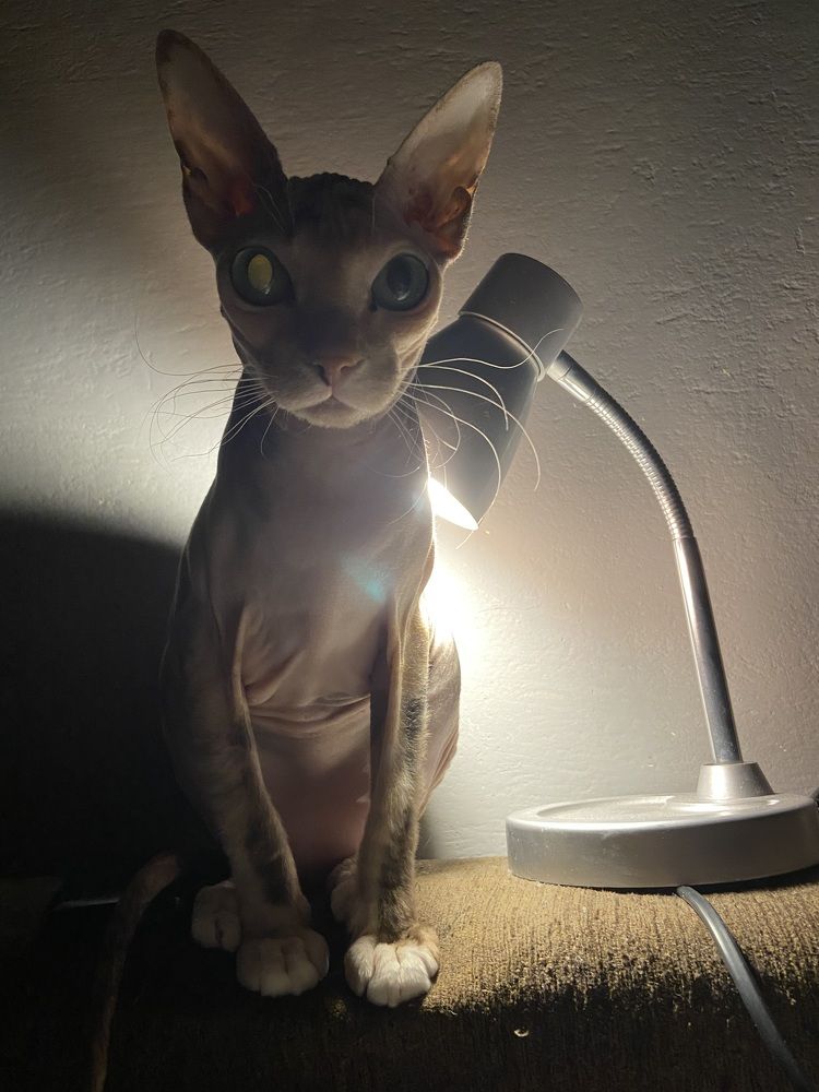 Время невероятных историй