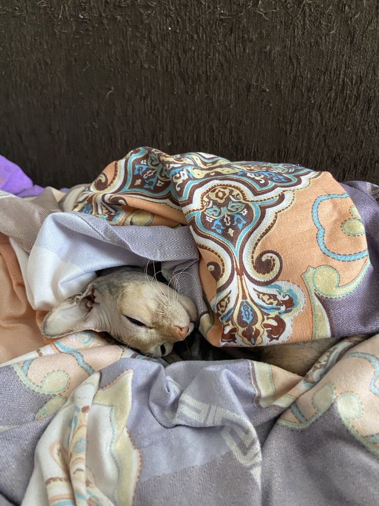 Когда утром не хочется на работу.