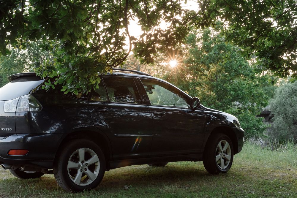 Photograph by Ольга Ляхова