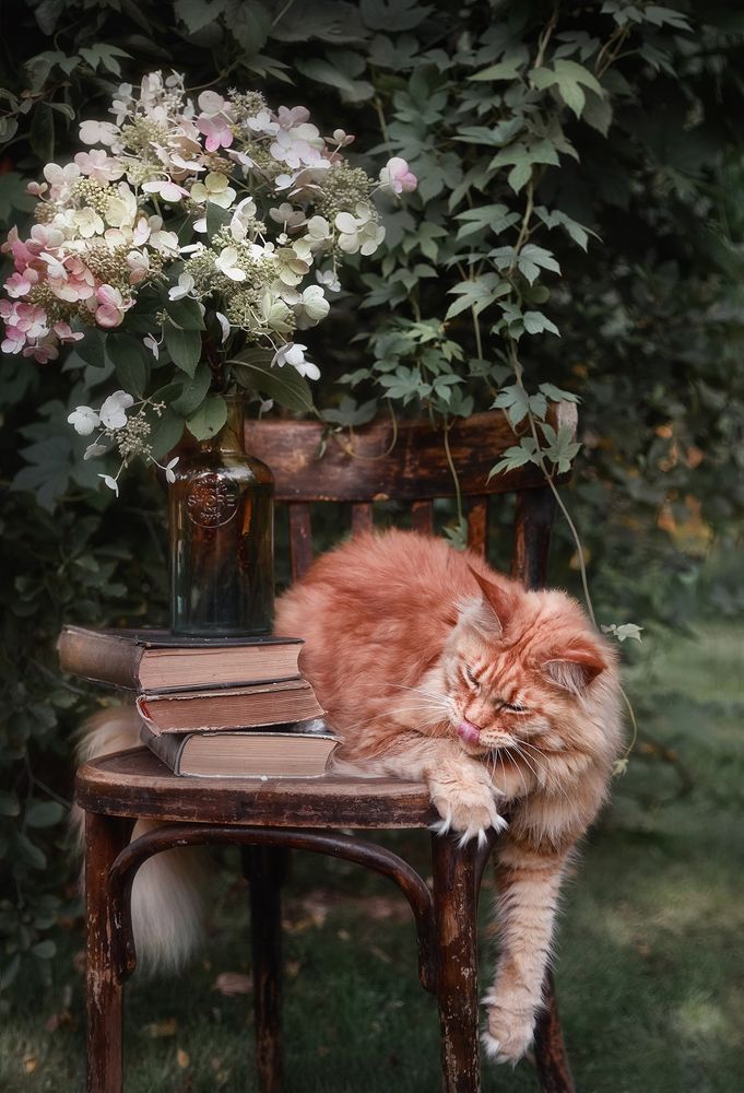 Вечер летнего дня