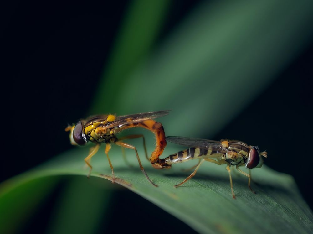 Фотография автора Константин Яковлев