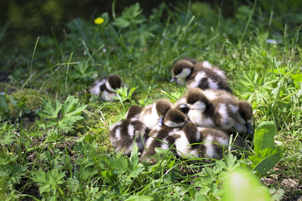 Photograph by Екатерина Ракова