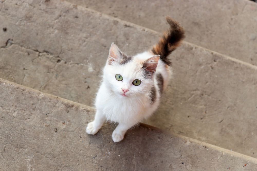 Photograph by Stepanova Valeria