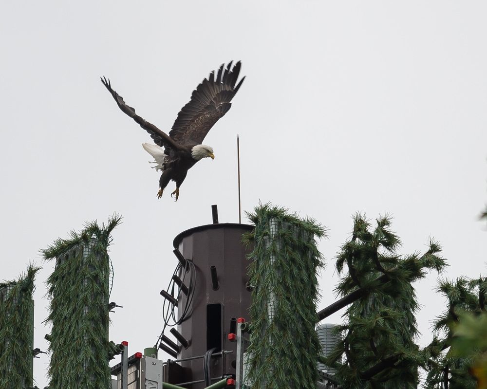 Photograph by Ilir Berisha