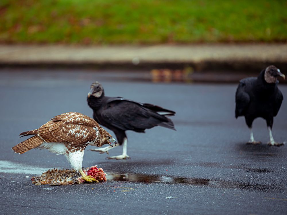 Photograph by Ilir Berisha