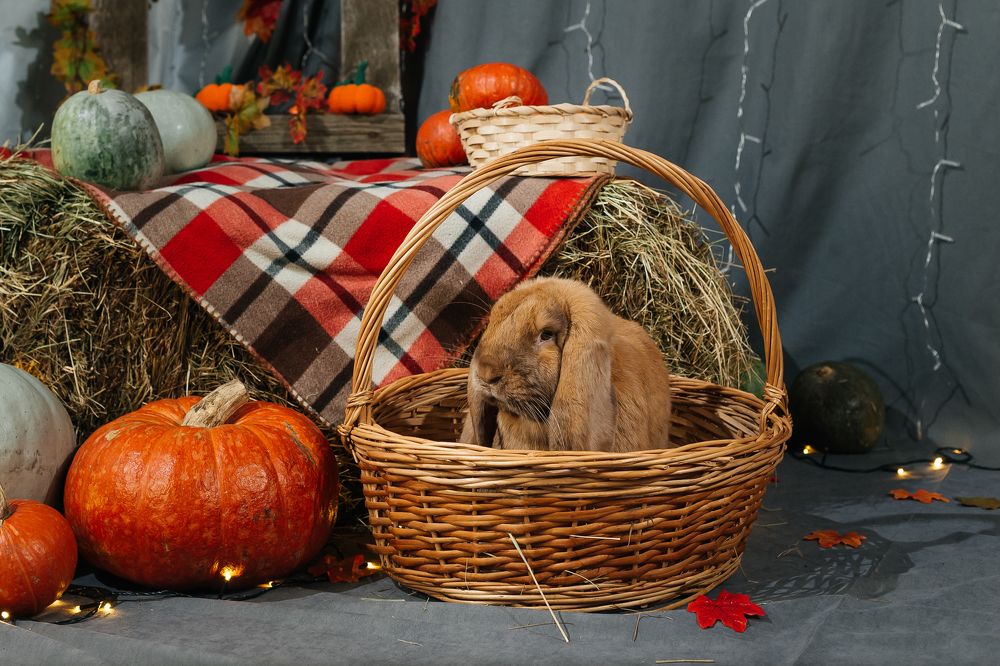 Photograph by Нефедова Ангелина