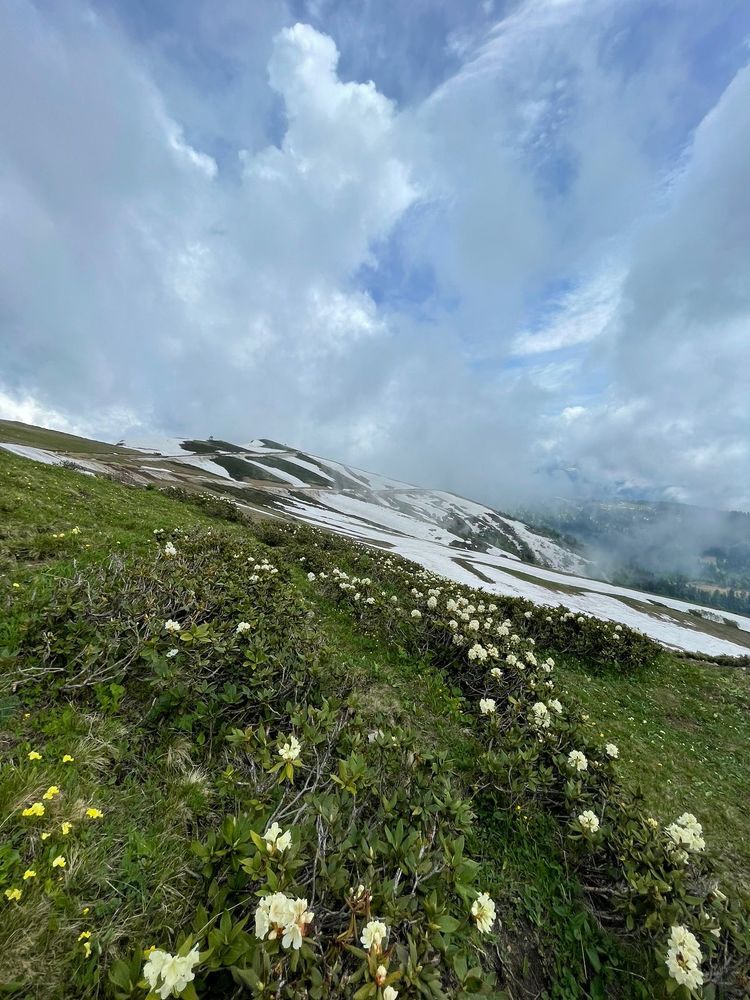 Photograph by Оксана Николаева