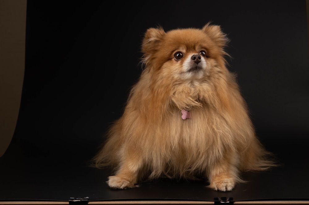 Photograph by Александр Беркало