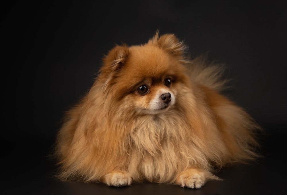 Photograph by Александр Беркало