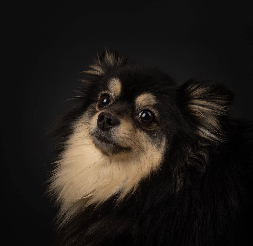 Photograph by Александр Беркало