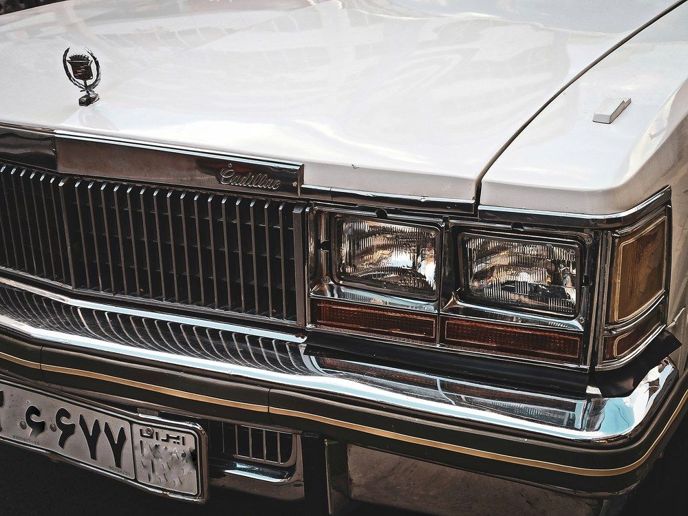 Фотография автора Pourya Darband Yourdshahi